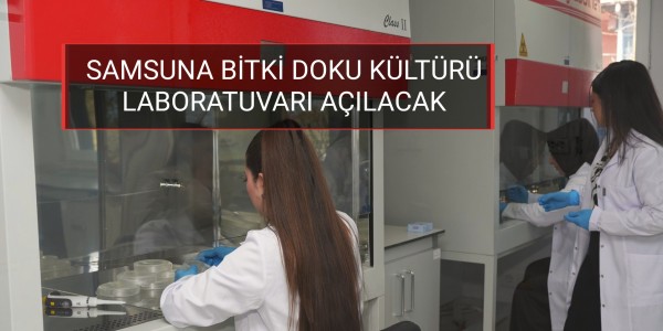 SAMSUN'A BİTKİ DOKU KÜLTÜRÜ LABORATUVARI AÇILACAK